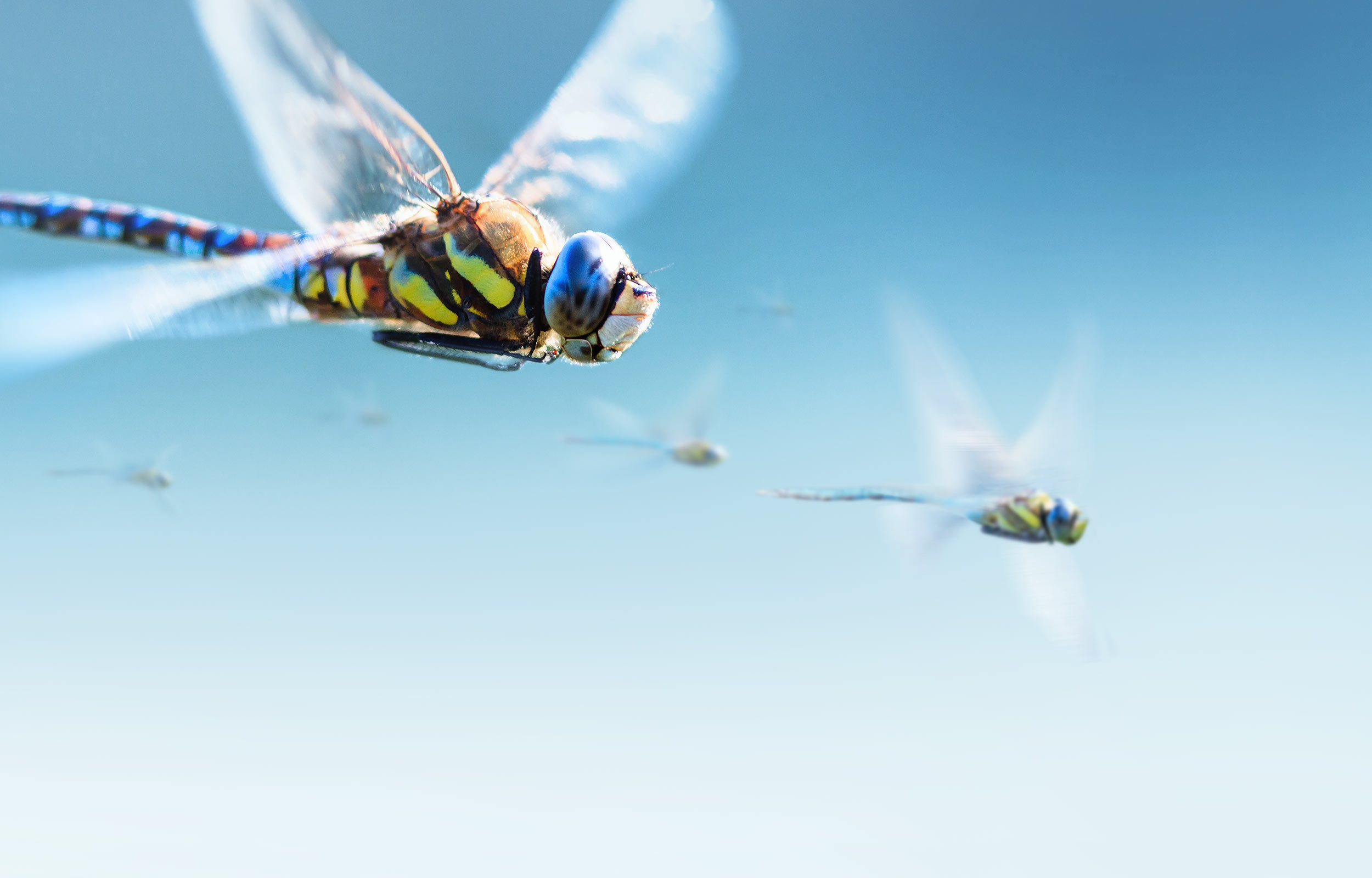 Banner Bild tus – telekommunikation und sicherheit